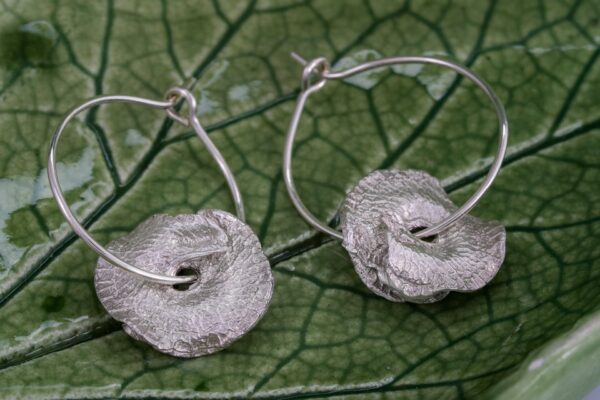 Alfalfa hoop earrings