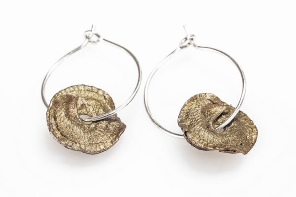 Alfalfa hoop earrings bronze