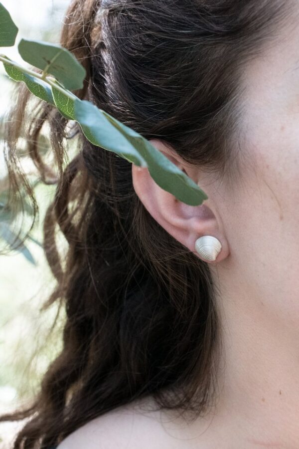 Clam shell earrings