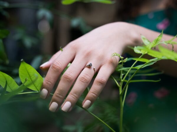 Αυξομειούμενο δαχτυλίδι παπαρούνα