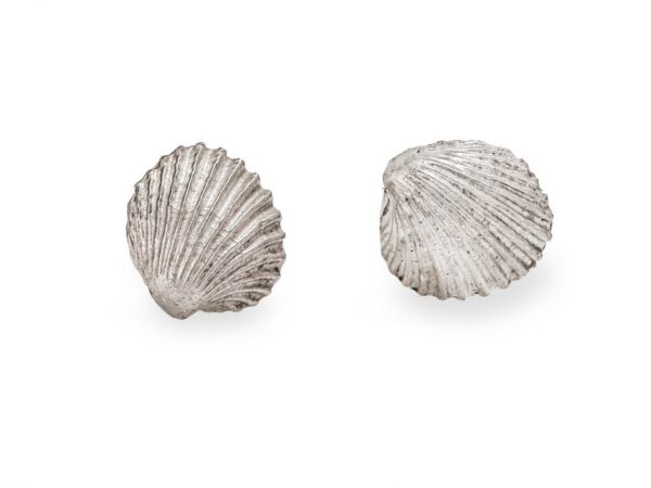 Small clam shell earrings