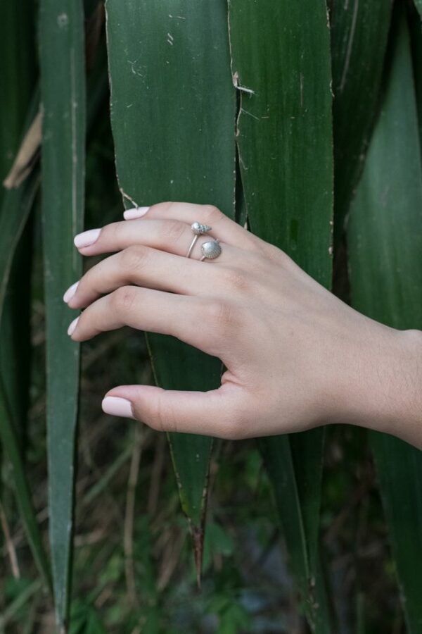 Small clam shell ring