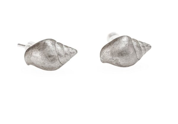 Tulip shell earrings