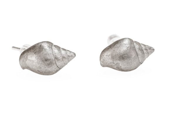Tulip shell earrings