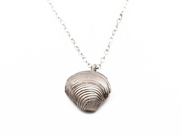 clam shell necklace-aqua