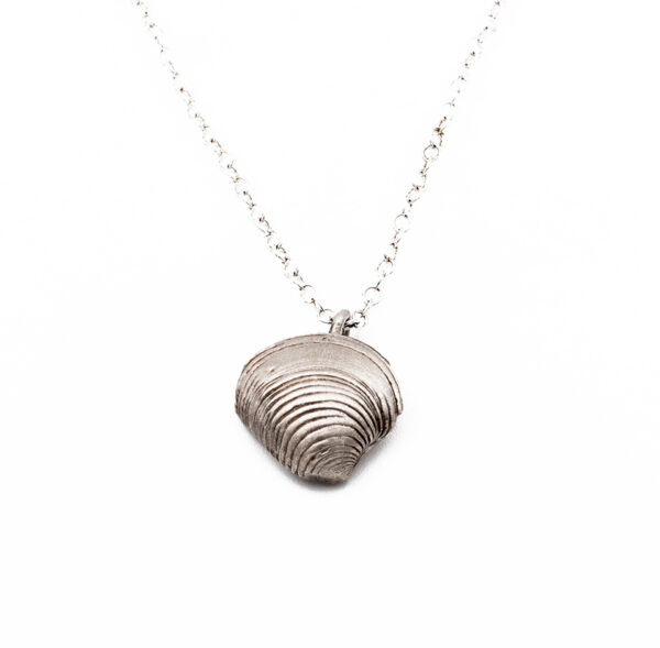 clam shell necklace-aqua