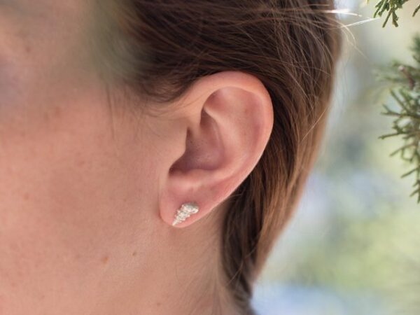 Cone shell earrings