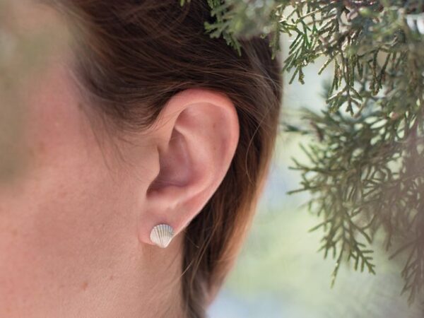 small clam shell earrings