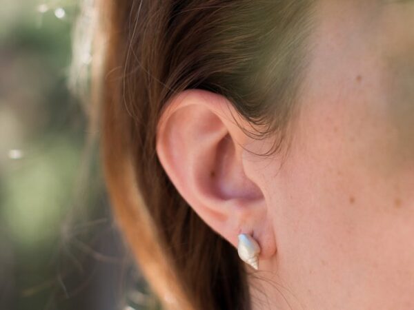 tulip shell earrings