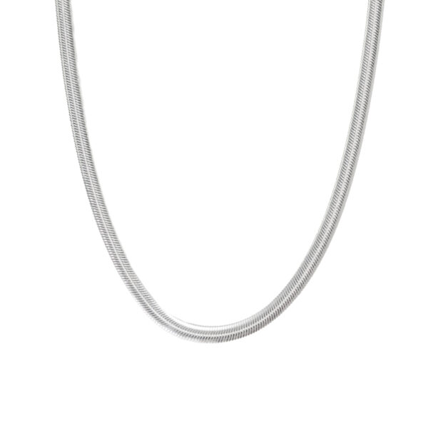 Bold snake chain