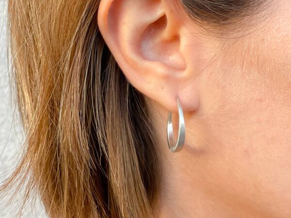 Dioni earrings