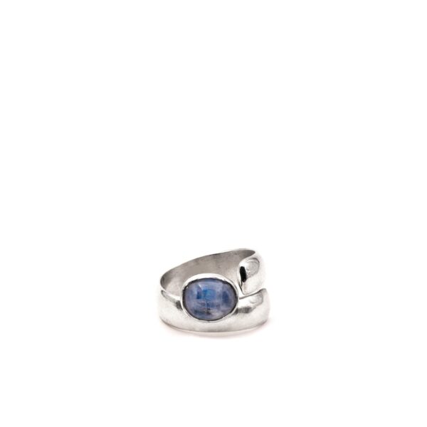 November adjustable ring