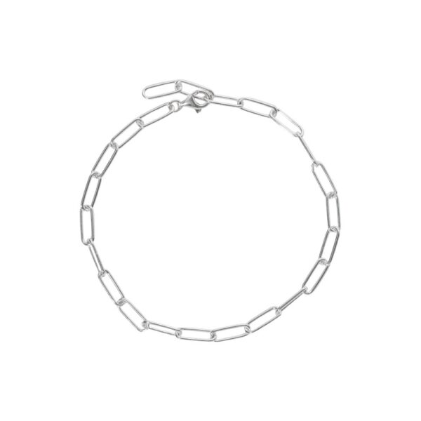 Alisia anklet chain