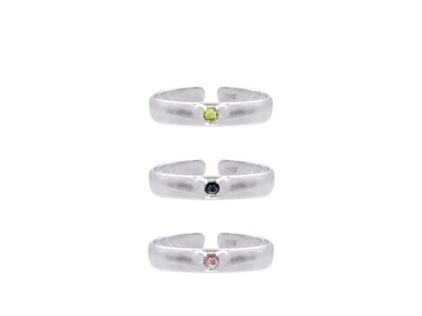 Lisa Ring