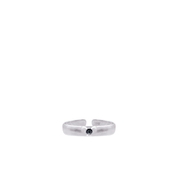 Lisa Ring - Image 9