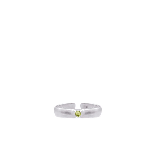 Lisa Ring - Image 8